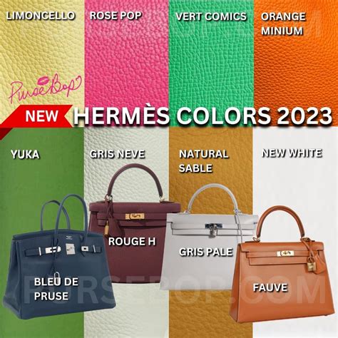 hermes birkin color chart|hermes bag colors 2023.